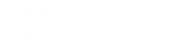 40MAX - Find your missing piece here